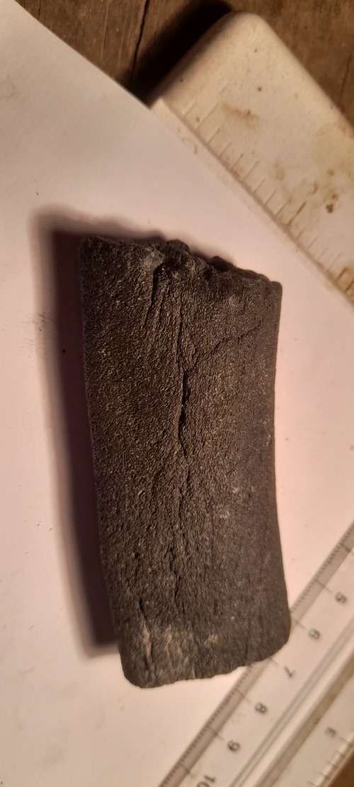 PREHISTORIC FOSSIL LOT