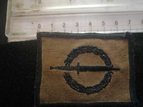 Recce operator nutria badge