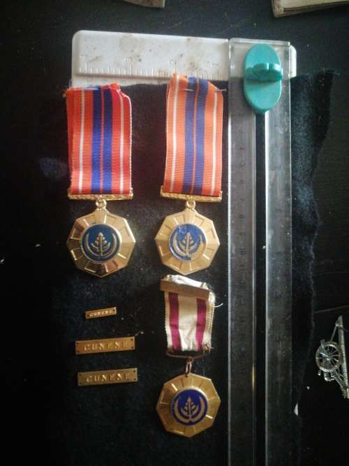 SADF 3 Propatria medals plus 3 Cunene plates