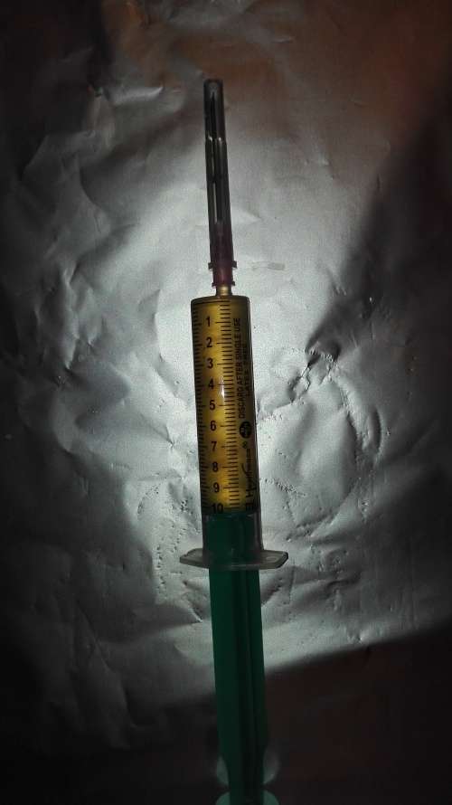 Mushroom Liquid Culture 10ml syringe -  R300