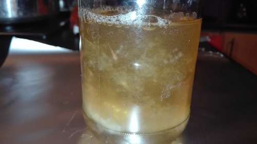 Mushroom Liquid Culture 10ml syringe -  R300