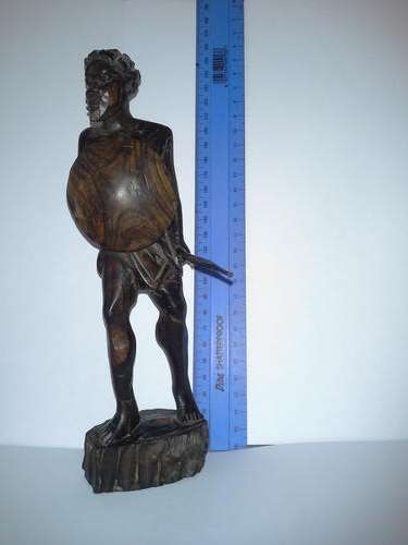 1x wood  africa spearman