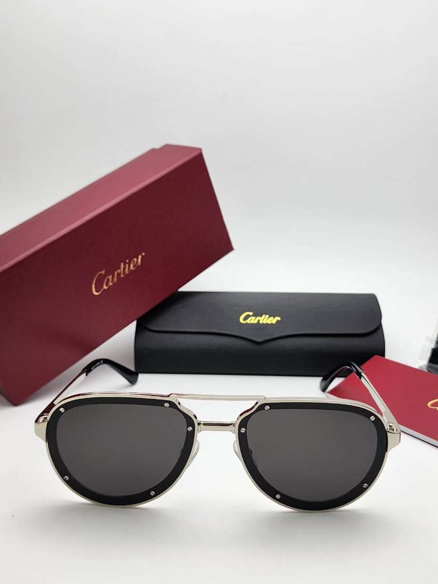 Cartier Santos de Cartier CT0195S-001 Sunglasses