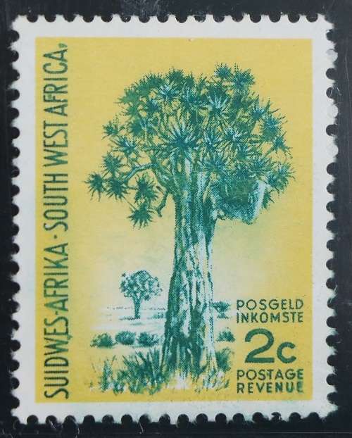SACC 202b:S.W.A. 1st Dec Def iss. Group III. 2c Quiver tree. MNH. Wmk. R.S.A. Yelowish.