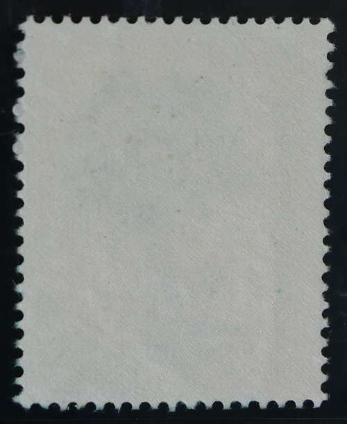 SACC 202b:S.W.A. 1st Dec Def iss. Group III. 2c Quiver tree. MNH. Wmk. R.S.A. Yelowish.