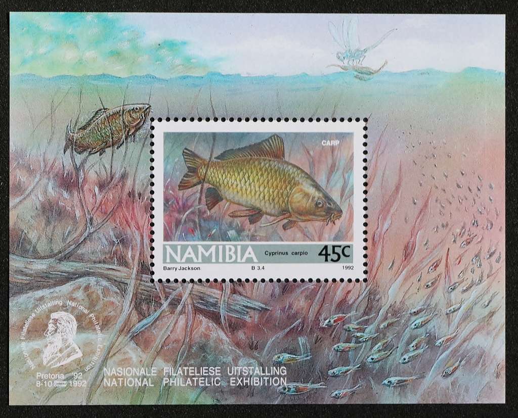 NAM: SACC 53a: 1992. Found. M/S. 45c Val of Tour. Camps printed in M/S. MNH