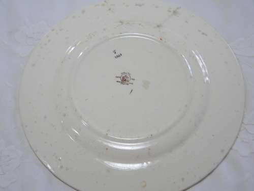 Maling Hand Painted Lustre Gazed Dinner / Display Plate 1950 - Venice Scenes on Tinted scenes