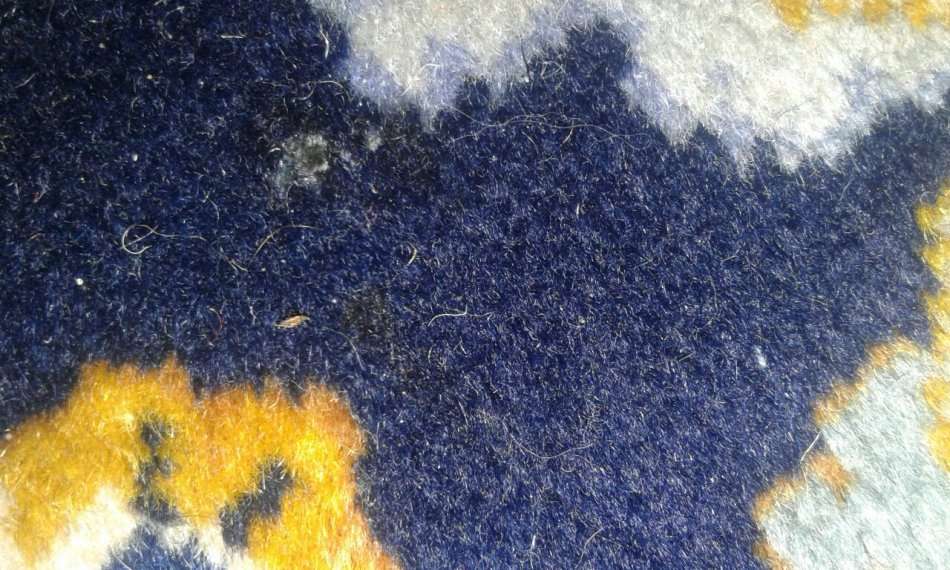 Stunning Authentic Persian Hand Knotted Kashan Carpet 3.75m x 2.40m ! - High Value Blue !!