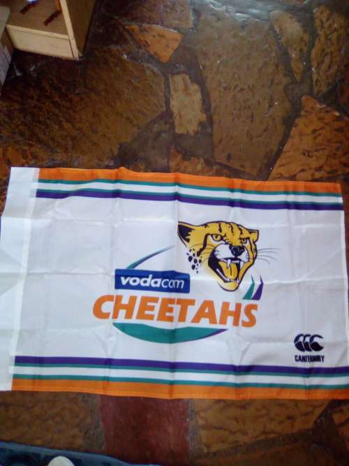 Cheetah flag