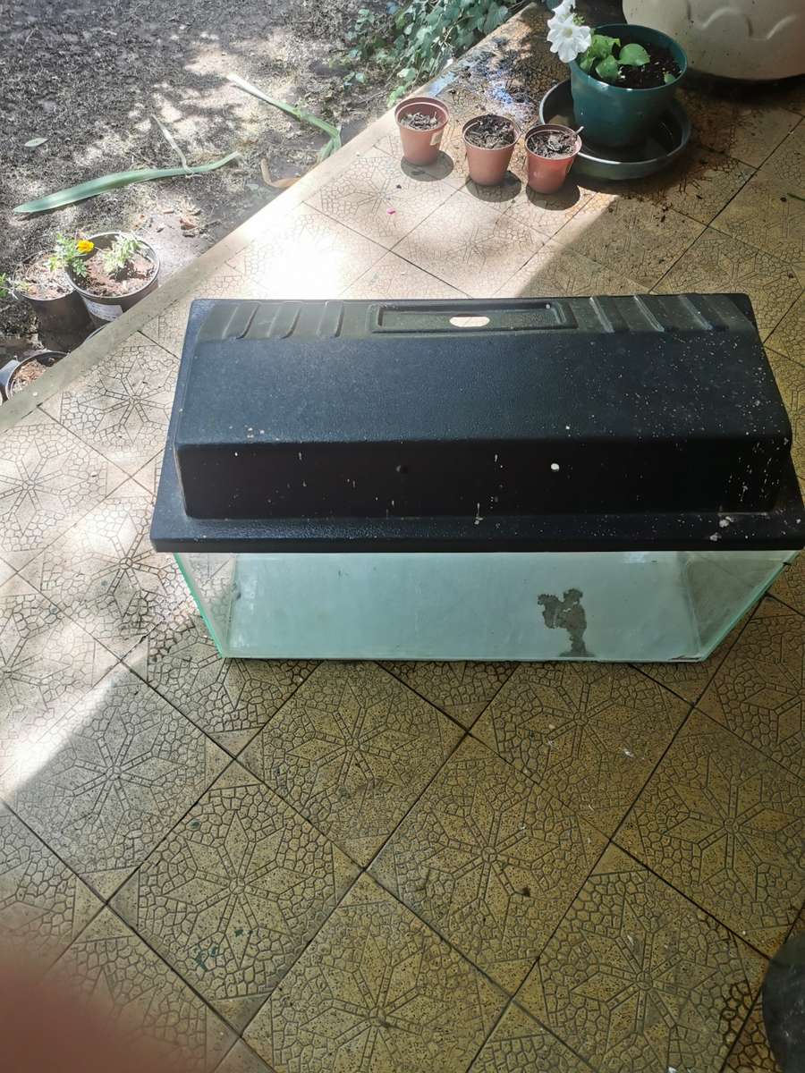 SECONDHAND FISH TENK 2