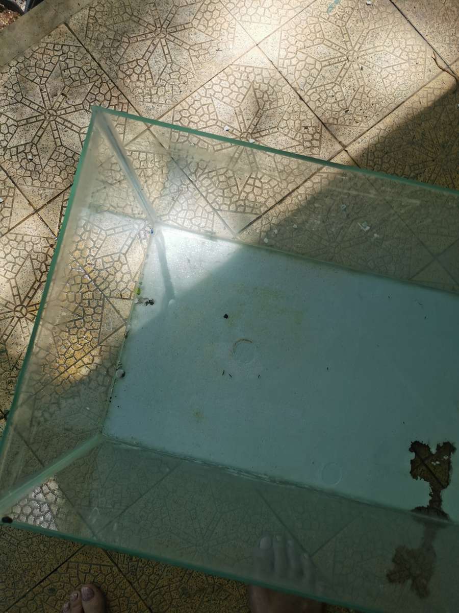 SECONDHAND FISH TENK 2