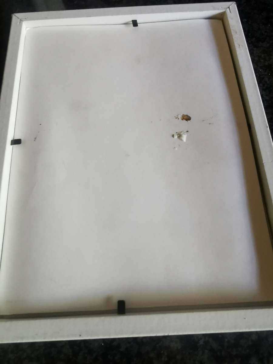 VINTAGE WHITE PICTURE FRAME WITH GLASS