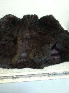 REAL MINK VINTAGE  SHORT COAT SIZE 34 EXCELLENT CONDITION