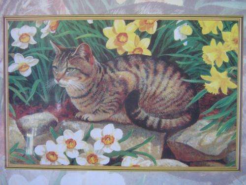 Puzzle : Jigsaw puzzle (520mm x 380mm) 500 pieces