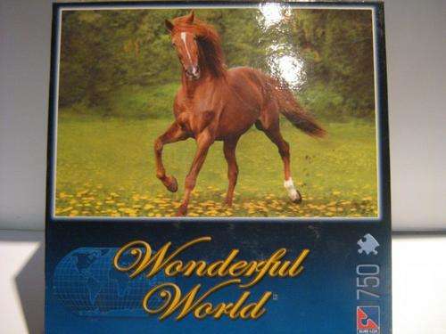 Puzzle : Wondeful World - Arabian Beauty (750pcs)