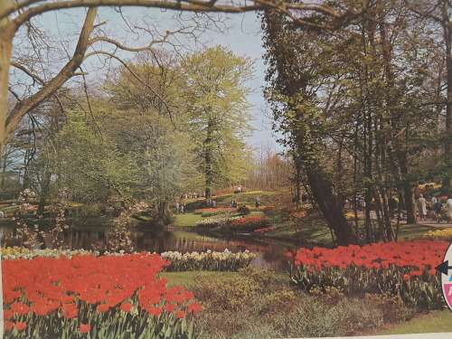 JIGSAW PUZZLE - SpringTime  (3000pc)   - 121 x 89 cm