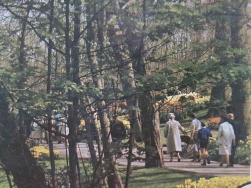 JIGSAW PUZZLE - SpringTime  (3000pc)   - 121 x 89 cm