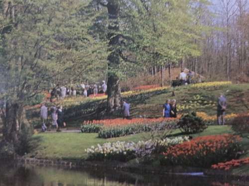 JIGSAW PUZZLE - SpringTime  (3000pc)   - 121 x 89 cm