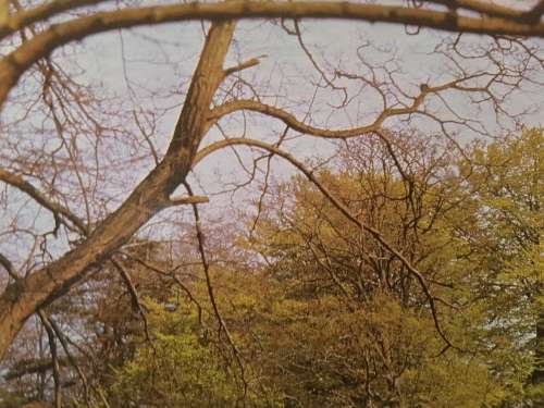 JIGSAW PUZZLE - SpringTime  (3000pc)   - 121 x 89 cm