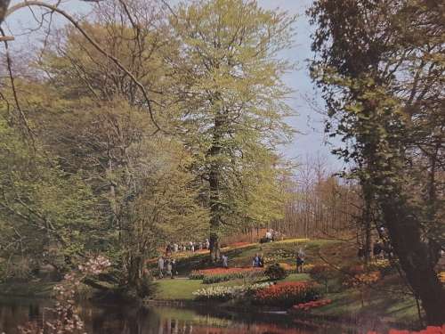 JIGSAW PUZZLE - SpringTime  (3000pc)   - 121 x 89 cm