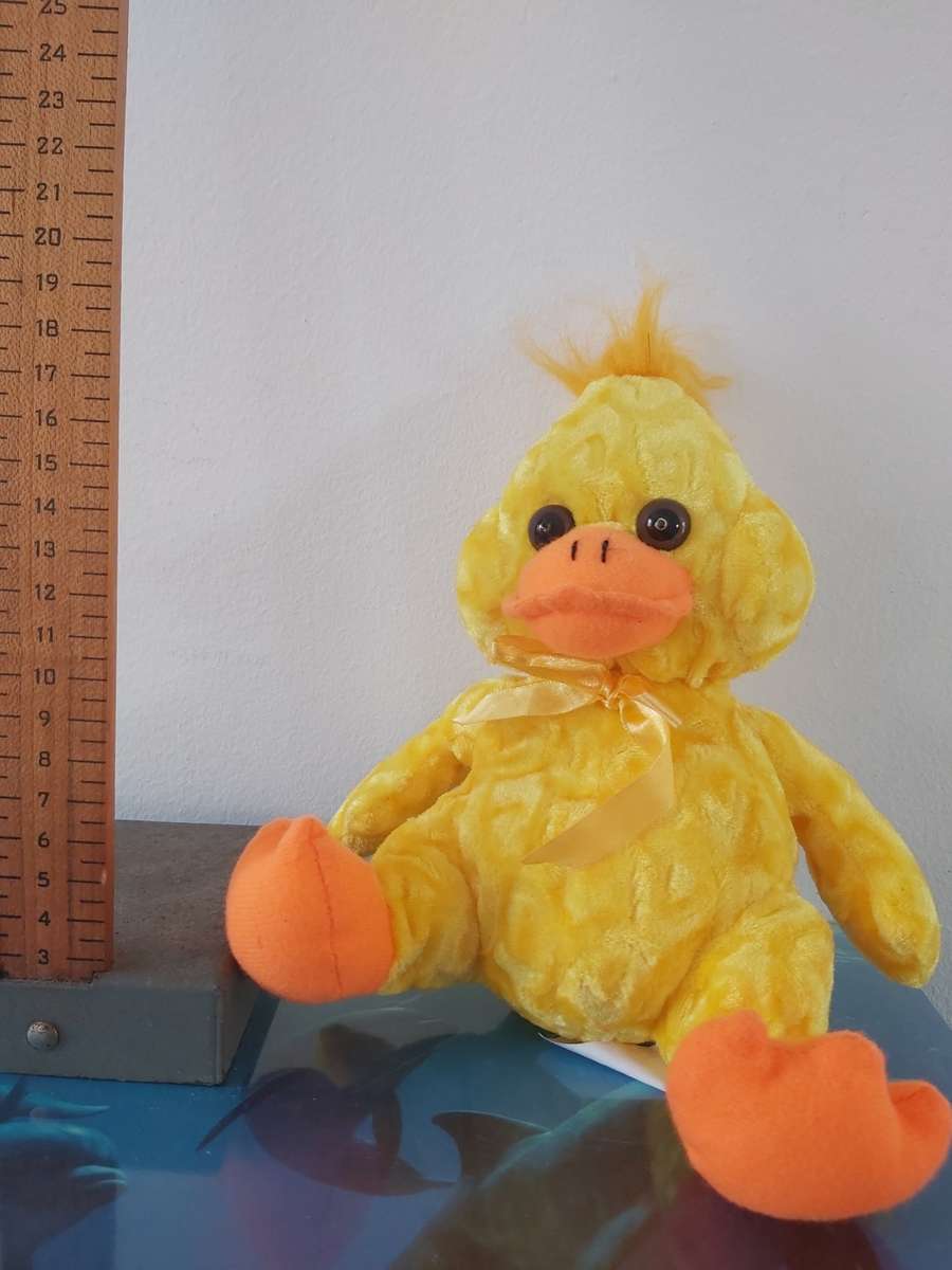 Plush Toy: Duck