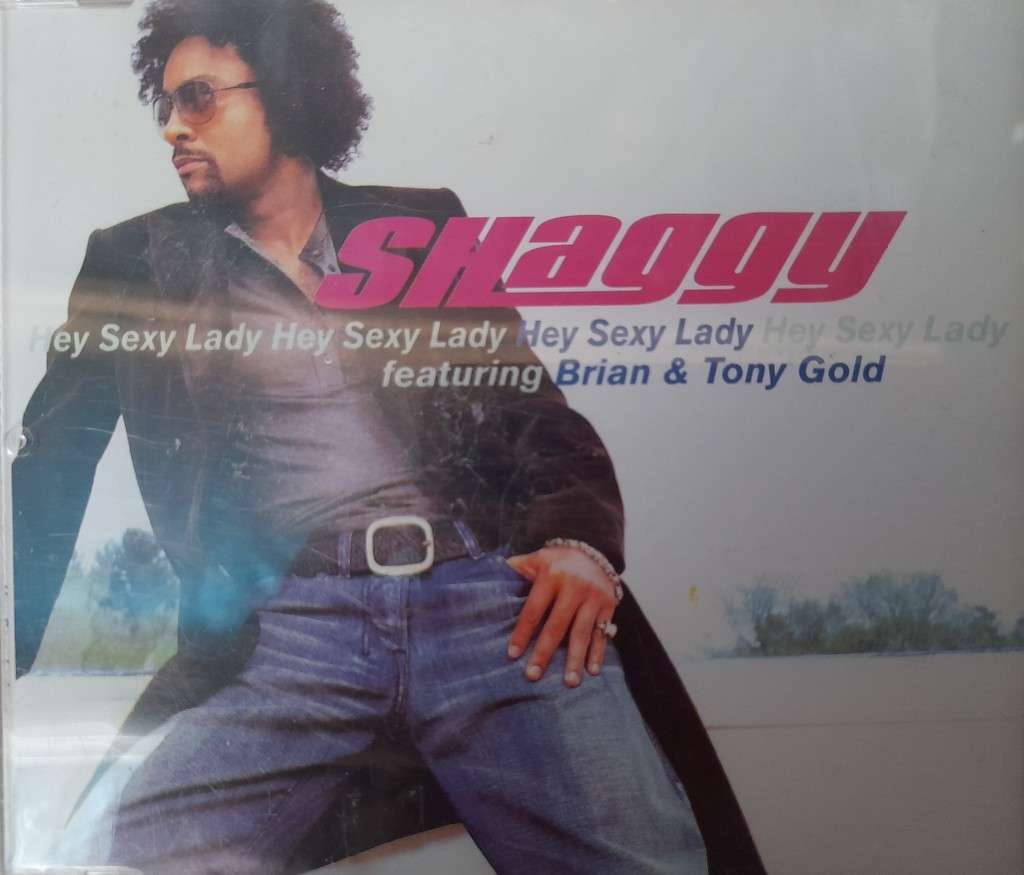 Shaggy - Hey Sexy Lady