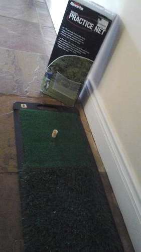Practice net and putting strip