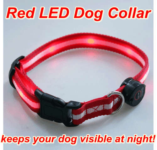 Red LED Dog Collar! Lets your best friend be visible at night!