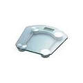 Bathroom Glass Scale