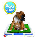 Dog Potty Trainer