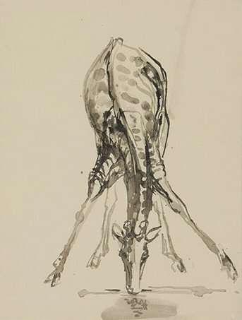 GIRAFFE - Zakkie Eloff