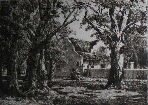 STEYNBERG, TOKAI - after Thinus de Jongh