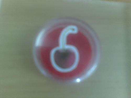 10 pack lipbalm various fragances 5ml pots