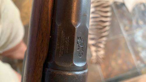 Deactivated Italian Vetterli rifle 1881