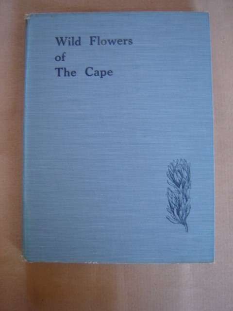 Wild Flowers of The Cape A Floral Year by A Handel Hamer
