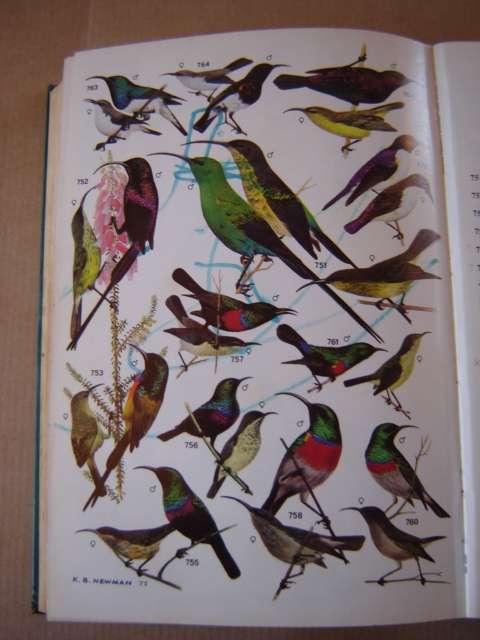 Roberts Birds of South Africa Fourth Edition First Impression 1978