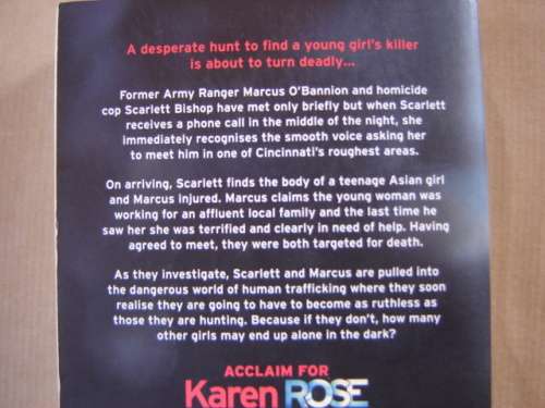 Karen Rose Alone in the Dark