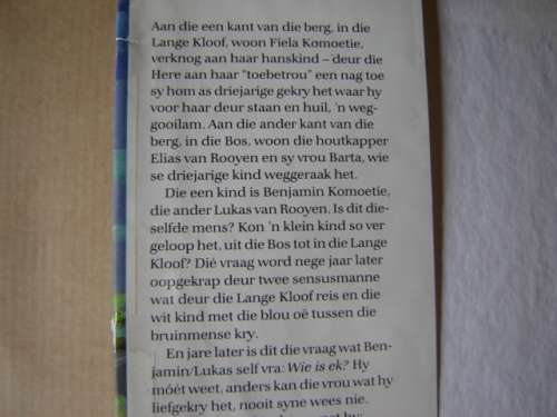 Dalene Matthee Fiela se kind