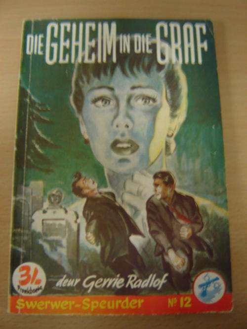 Gerrie Radlof - Die geheim in die graf