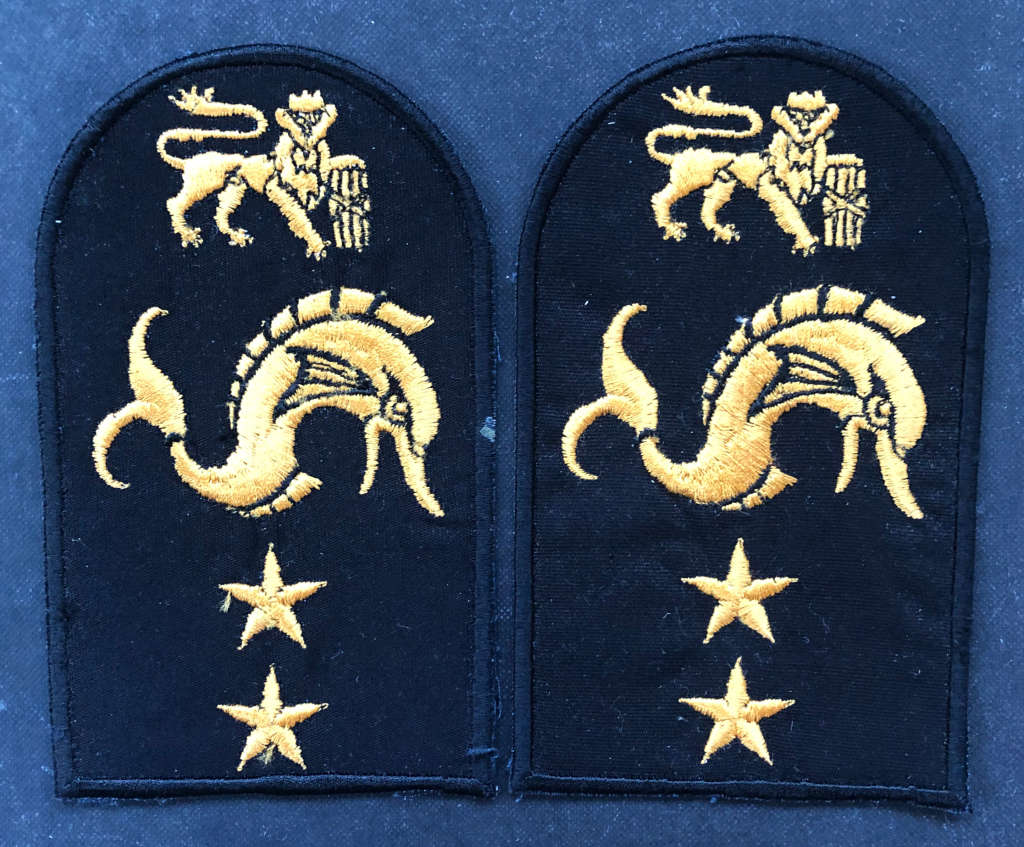 MILITARY EMBROIDERED EPAULETTES