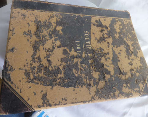 Boer War Caricatures