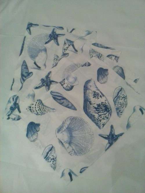 Small tablecloth with four napkins/ place mats. Printed blue on white cotton material.