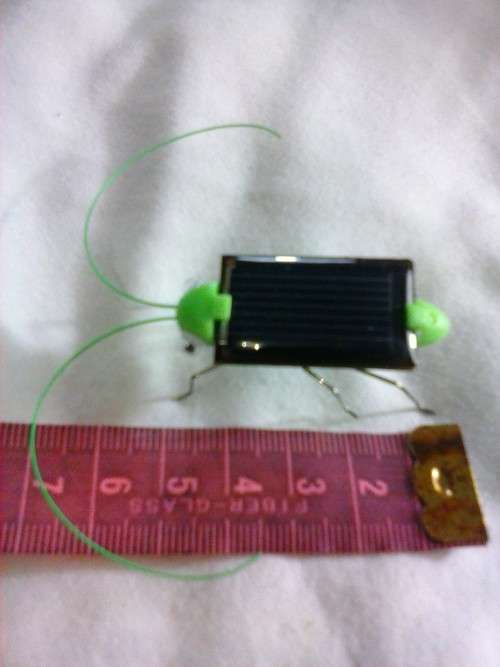 Solar bug that vibrates in the sun, like new.