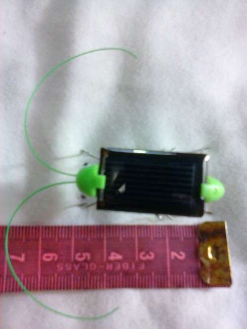 Solar bug that vibrates in the sun, like new.