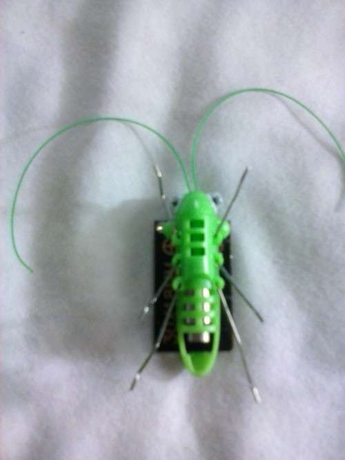 Solar bug that vibrates in the sun, like new.