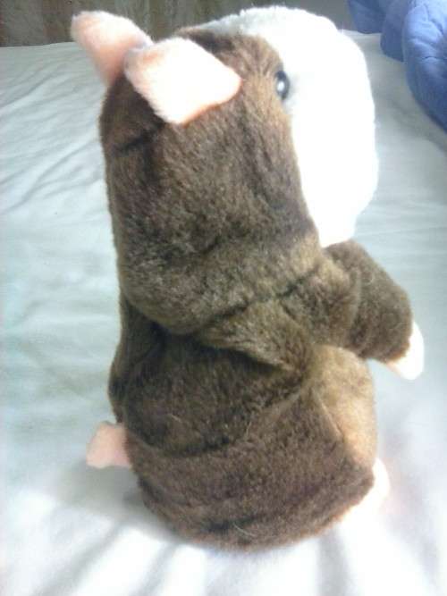Talking hamster toy