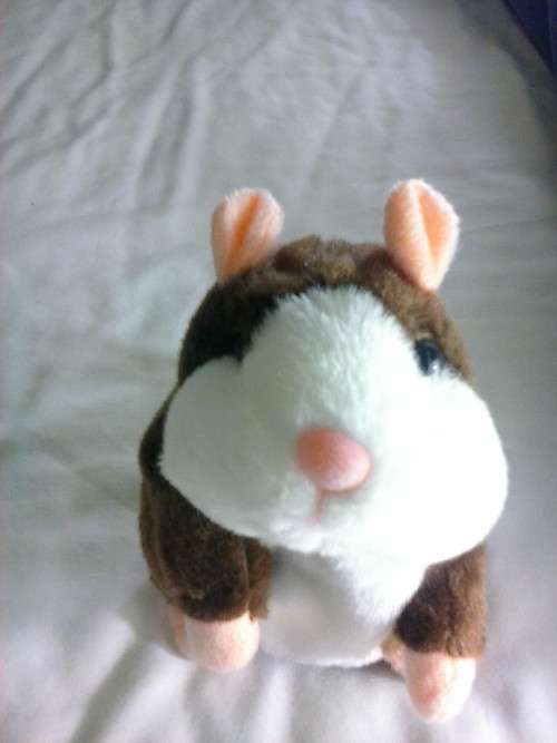 Talking hamster toy