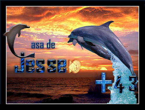 Special!!!  7 Nights Accommodation in Margate, 11 Sleeper, 5 Bedroom, 3 Bathroom