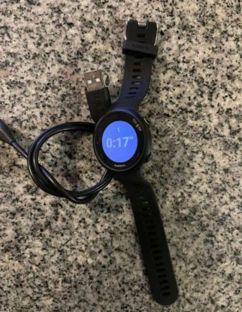 Garmen Forerunner 45