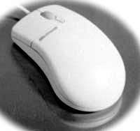 Microsoft USB Mouse **FREE DELIVERY**